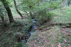 58.-Downstream-from-bridleway-DU-715-ford