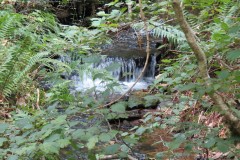 59.-Downstream-from-bridleway-DU-715-ford