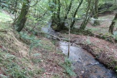 60.-Flowing-below-Stolford-Wood