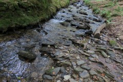 62.-Flowing-below-Stolford-Wood