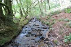 63.-Flowing-below-Stolford-Wood