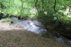 65.-Flowing-below-Stolford-Wood