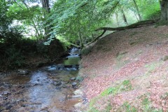 66.-Flowing-below-Stolford-Wood