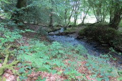 67.-Flowing-below-Stolford-Wood