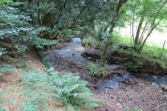 68.-Flowing-below-Stolford-Wood