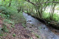 69.-Flowing-below-Stolford-Wood