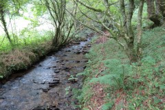 70.-Flowing-below-Stolford-Wood