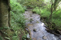 71.-Flowing-below-Stolford-Wood