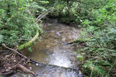 72.-Flowing-below-Stolford-Wood