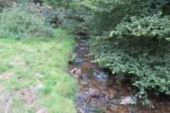 74.-Flowing-below-Stolford-Wood