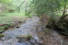 76.-Flowing-below-Stolford-Wood