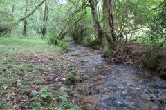 77.-Flowing-below-Stolford-Wood