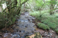 78.-Flowing-below-Stolford-Wood