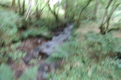79.-Flowing-below-Stolford-Wood
