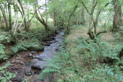 80.-Flowing-below-Stolford-Wood