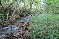 81.-Flowing-below-Stolford-Wood