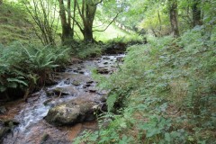 84.-Upstream-from-Clatworthy-Reservoir