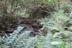 85.-Upstream-from-Clatworthy-Reservoir