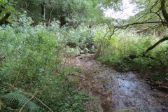 86.-Upstream-from-Clatworthy-Reservoir