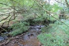 87.-Upstream-from-Clatworthy-Reservoir
