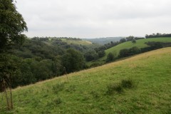 88.-Tone-Valley-from-just-below-Stolford