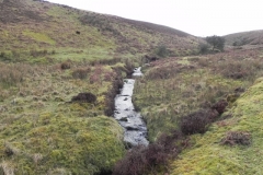18. Upstream from Colley Water