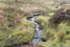 19. Upstream from Colley Water
