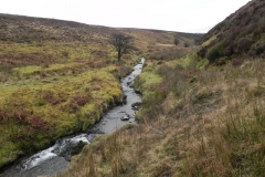 20. Upstream from Colley Water
