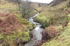21. Upstream from Colley Water