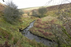 22. Upstream from Colley Water