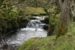 25. Upstream from Colley Water