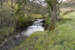 26. Upstream from Colley Water