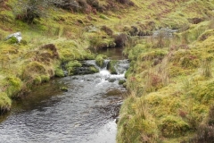 29. Upstream from Colley Water