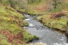 30. Upstream from Colley Water