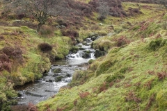 31. Upstream from Colley Water j