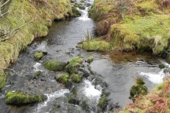 32. Colley Water joins