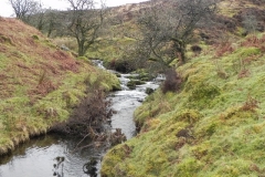 35. Downstream from Colley Water