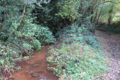10.-Upstream-from-Durborough-Farm-1