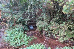 10.-Upstream-from-Durborough-Farm-2