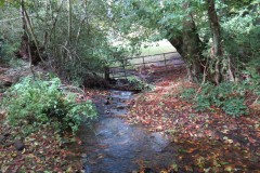 10.-Upstream-from-Durborough-Farm-4