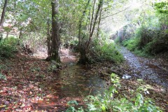 10.-Upstream-from-Durborough-Farm-5