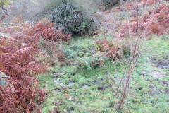 3.-Downstream-from-source-1