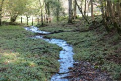 3.-Downstream-from-source-2