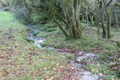 3.-Downstream-from-source-5