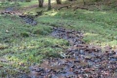 4.-Downstream-from-source-1