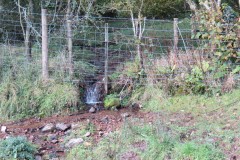 4.-Downstream-from-source-2