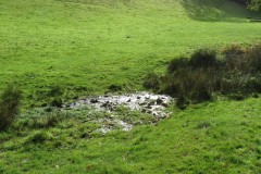 5.-Flowing-below-Lydeard-Hill-4