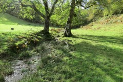 5.-Flowing-below-Lydeard-Hill-5