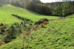 6.-Head-stream-joins-from-Lydeard-Hill
