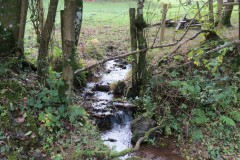 7.-Flowing-beteween-Higher-Durborough-Plantation-and-Aisholt-Common-1